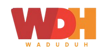 WADUDU TECHNOLOGIES (DUDUMIZI)